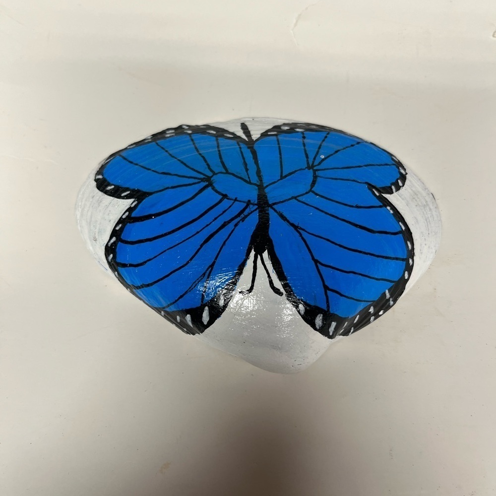 Hand Painted Butterfly Shell - Picture 9 of 10